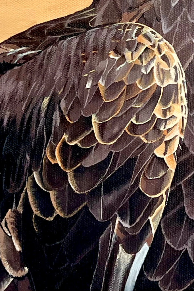 The Majestic Eagle