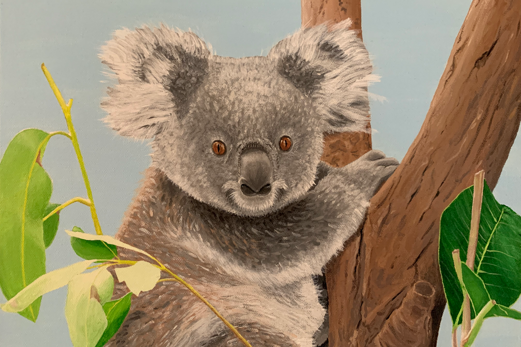 There’s A Koala