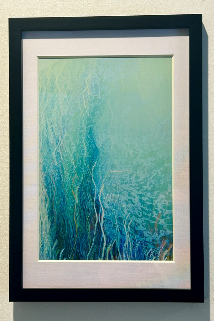 The fascinating 'Sea Floor' Henley Beach, South Australia, framed