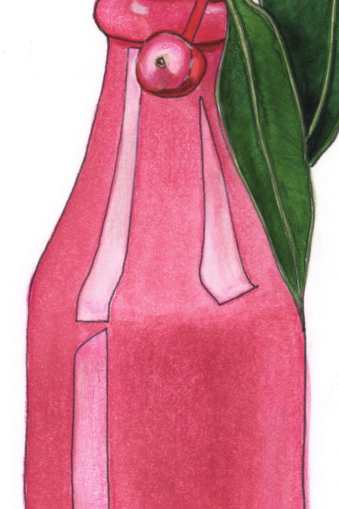 Pink Flowering Gum Blossom Vase